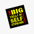 Big Yellow Group PLC