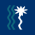 Monarch Casino & Resort Inc