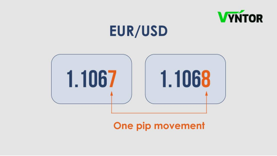 what is pip